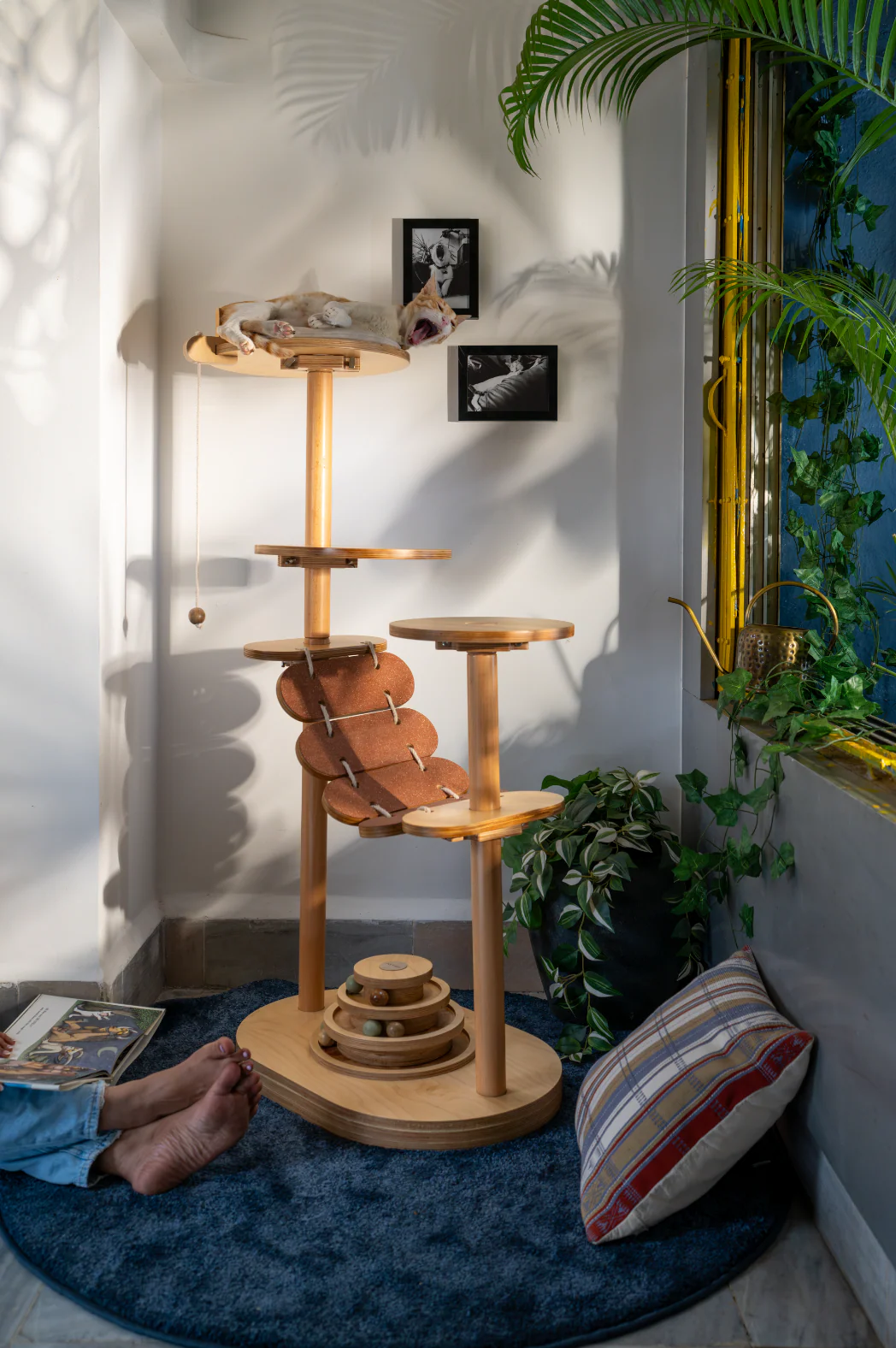 Materials & Dimensions